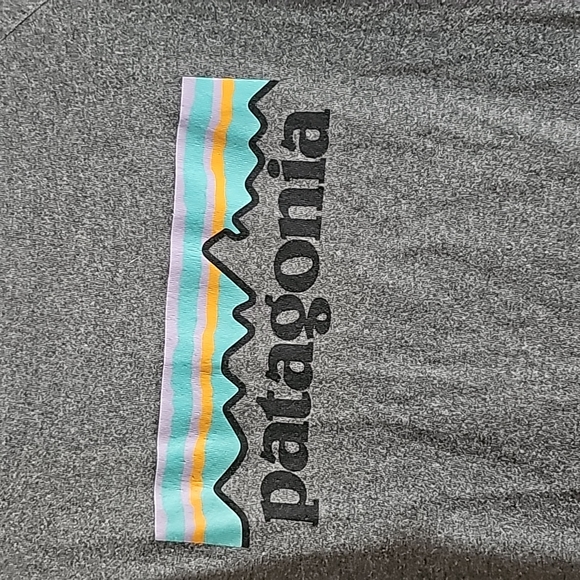 Patagonia Logo Reaponsibili Tee - Picture 10 of 12
